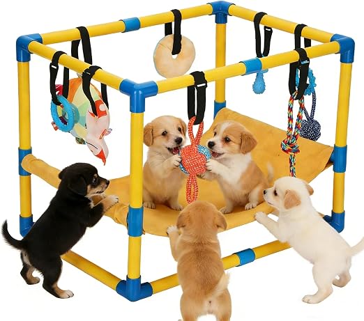 Yellow indoor puppy play gym with hammock