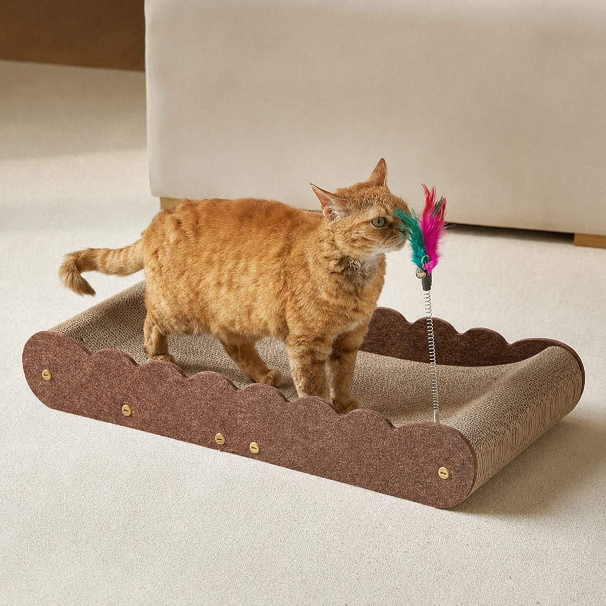 Cardboard cat lounger with two teaser toys