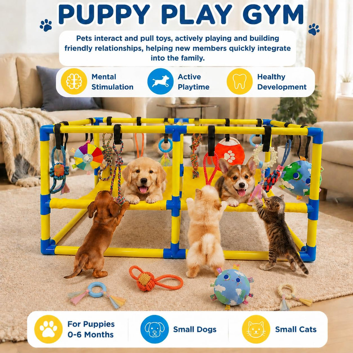 Puppy Play Gym with Hanging Toys & Hammock